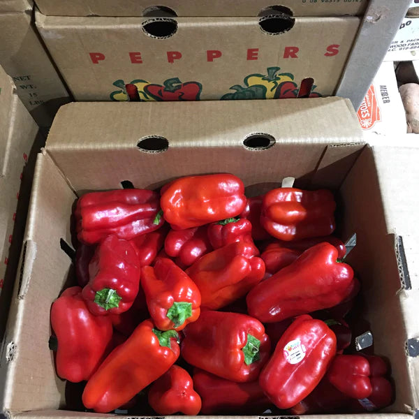 Red Bell peppers - BULK